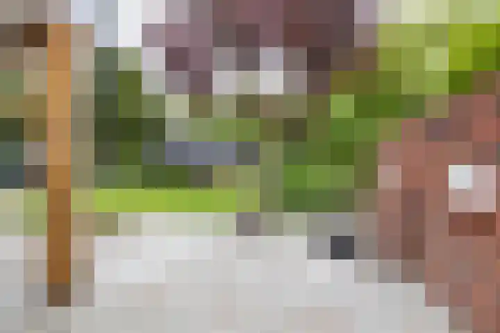 Asserstraat 18 A Norg thumbnail 36