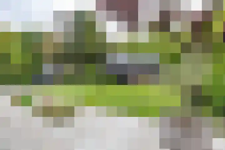 Asserstraat 18 A Norg thumbnail 37