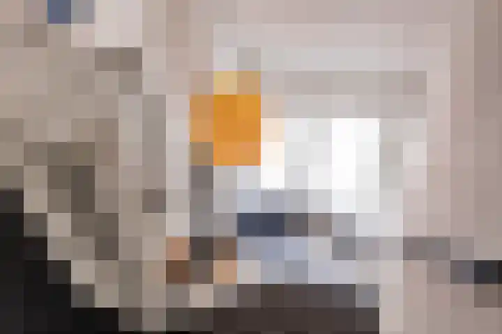 Asserstraat 18 A Norg thumbnail 41