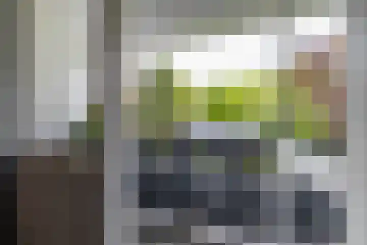 Asserstraat 18 A Norg thumbnail 46
