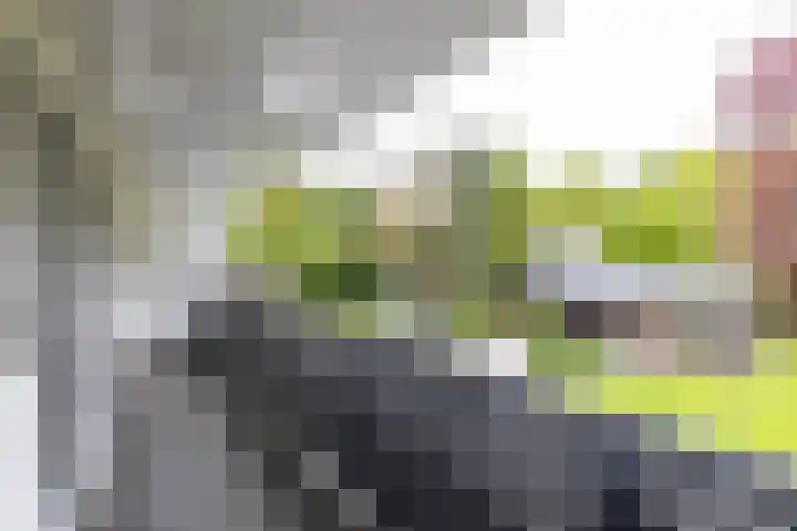 Asserstraat 18 A Norg thumbnail 48