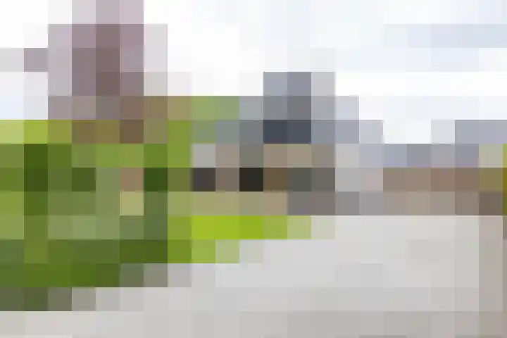 Asserstraat 18 A Norg thumbnail 5