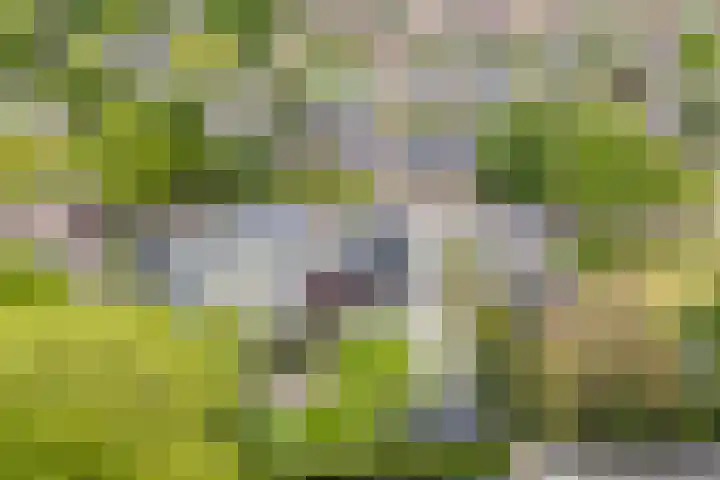 Asserstraat 18 A Norg thumbnail 58