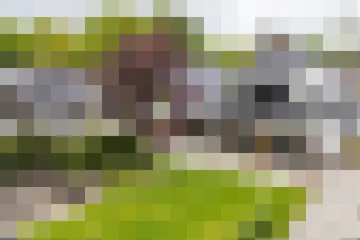 Asserstraat 18 A Norg thumbnail 59