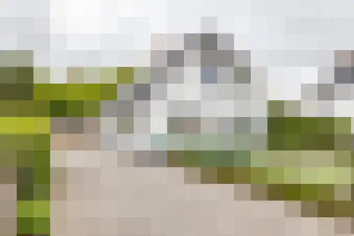 Asserstraat 18 A Norg thumbnail 6