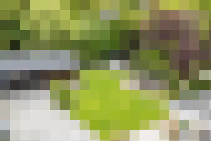 Asserstraat 18 A Norg thumbnail 63