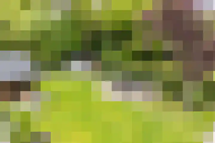 Asserstraat 18 A Norg thumbnail 64