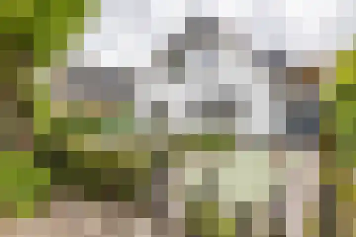 Asserstraat 18 A Norg thumbnail 7