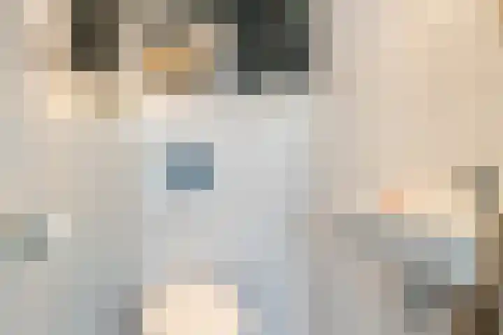 Asserstraat 18 A Norg thumbnail 9