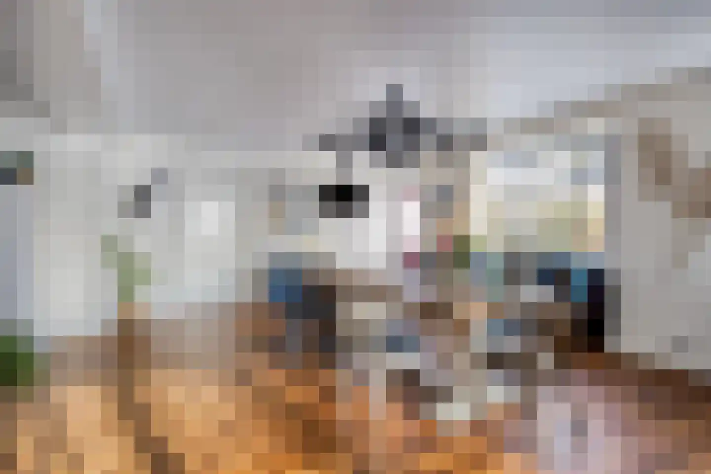 Asserstraat 18 Gieten thumbnail 12