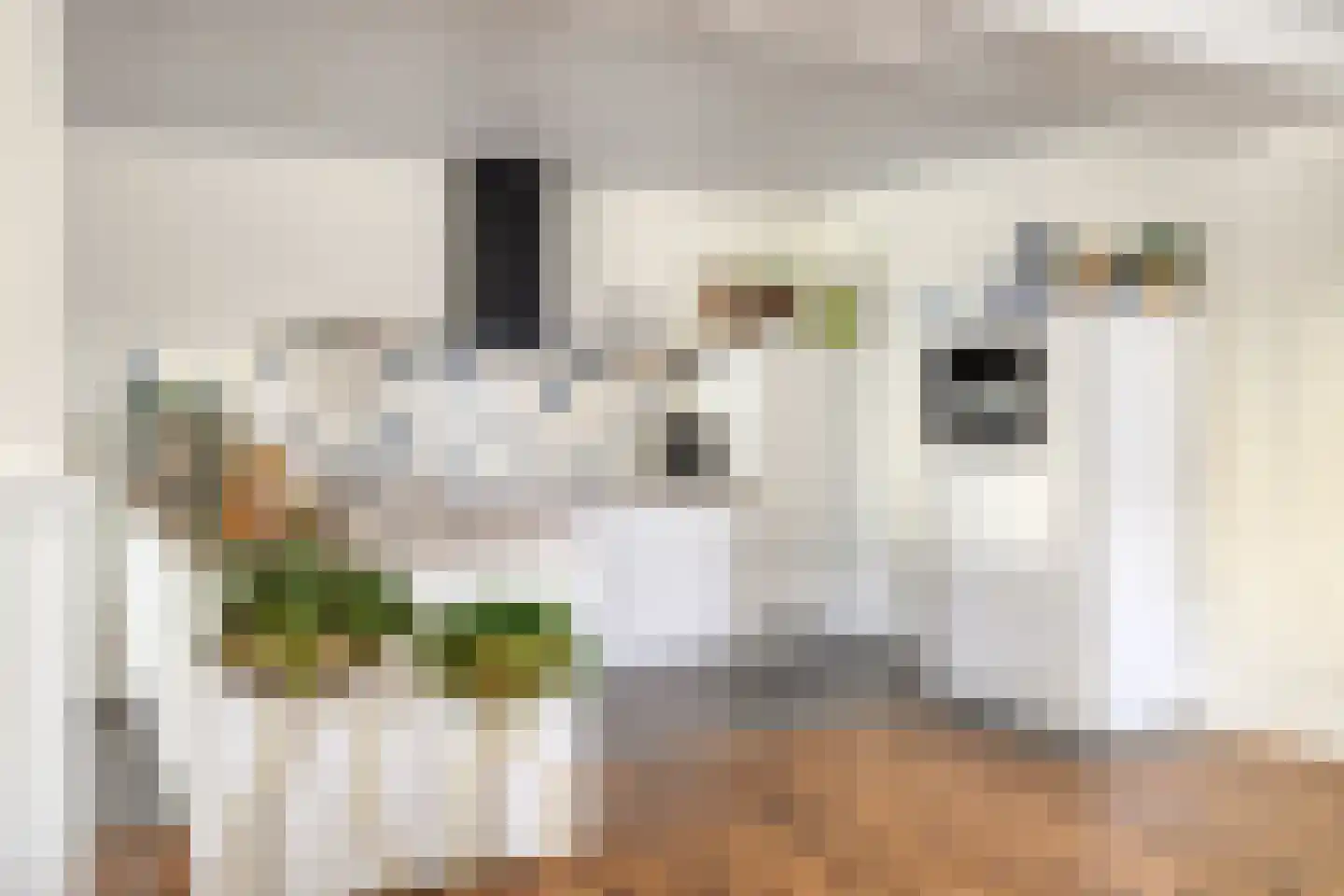 Asserstraat 18 Gieten thumbnail 15