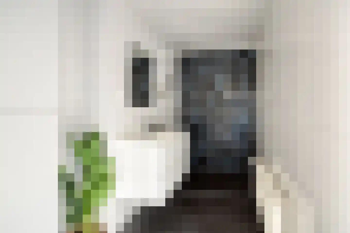 Asserstraat 18 Gieten thumbnail 19