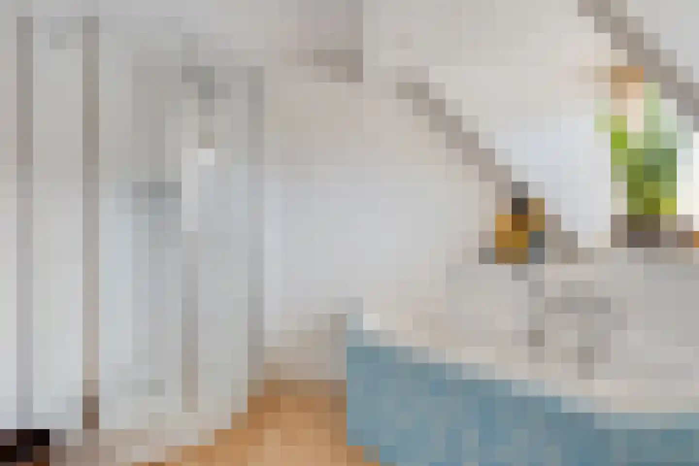 Asserstraat 18 Gieten thumbnail 30