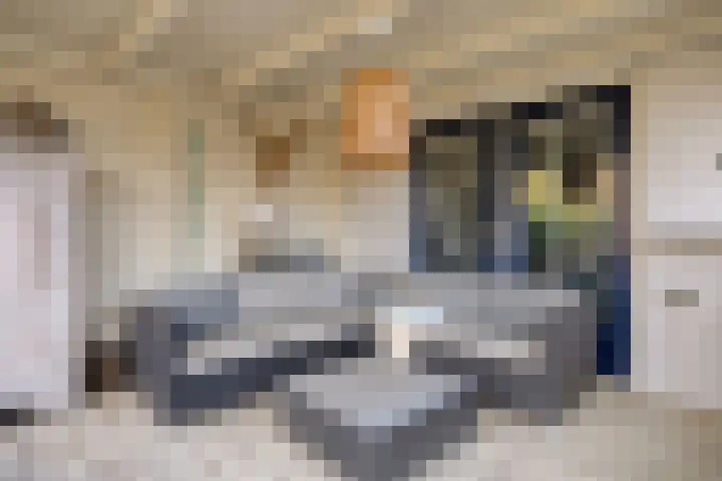 Asserstraat 18 Gieten thumbnail 32