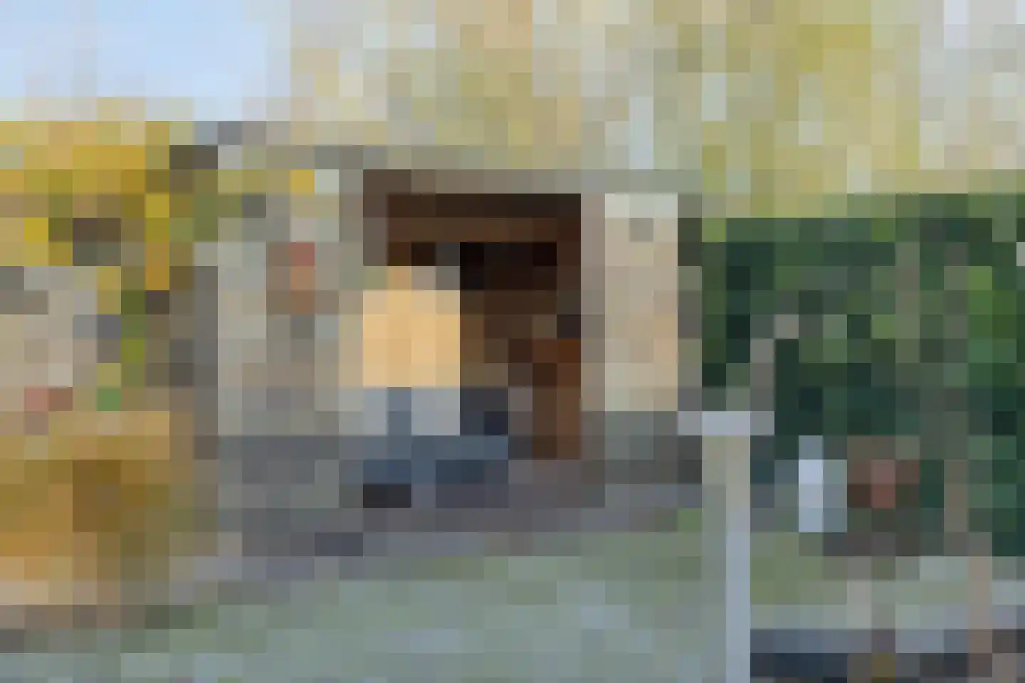 Asserstraat 18 Gieten thumbnail 33