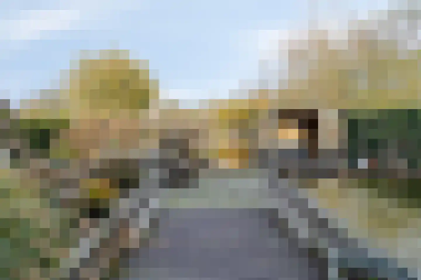 Asserstraat 18 Gieten thumbnail 34