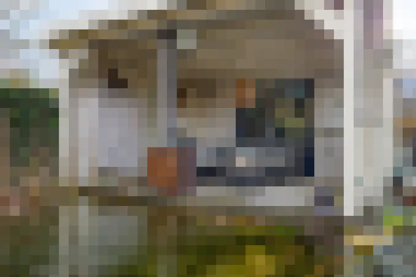 Asserstraat 18 Gieten thumbnail 37