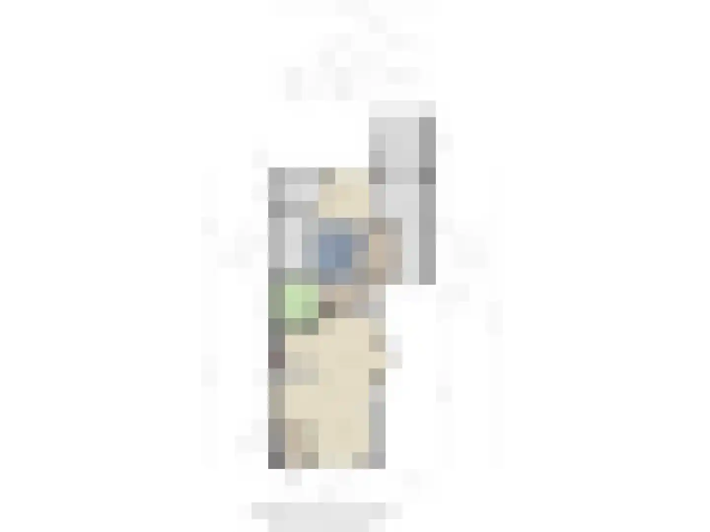Asserstraat 18 Gieten thumbnail 39