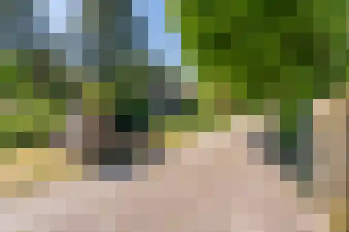 Asserstraat 208 in Rhee