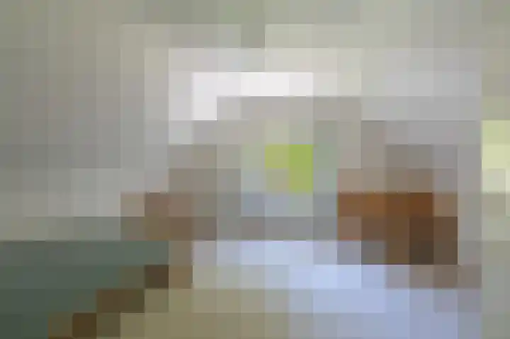Asserstraat 208 Rhee thumbnail 33