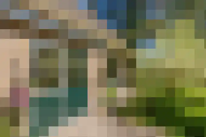Asserstraat 208 Rhee thumbnail 34
