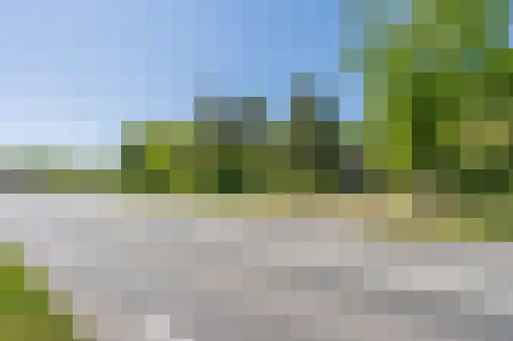 Asserstraat 208 Rhee thumbnail 8
