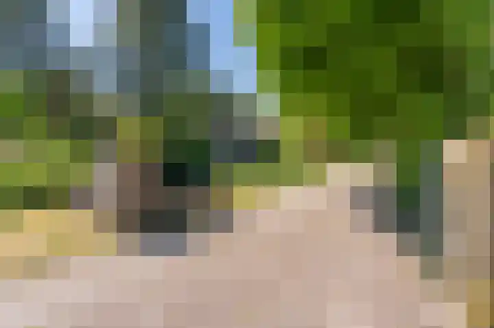 Asserstraat 208 Rhee thumbnail 9