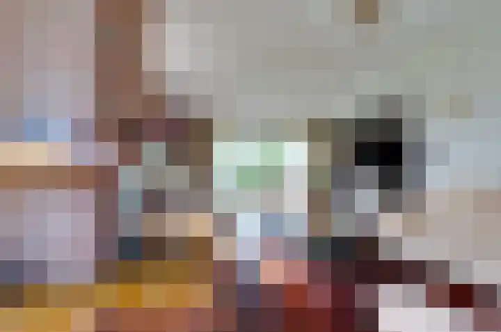 Asserstraat 22 Vries thumbnail 11
