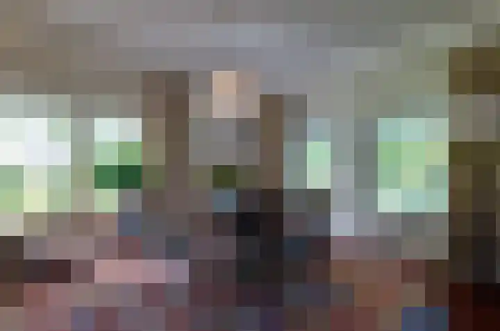 Asserstraat 22 Vries thumbnail 13