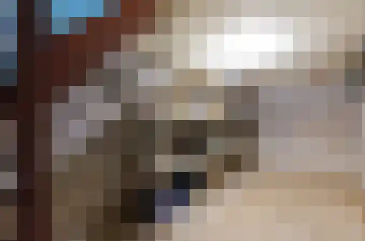 Asserstraat 22 Vries thumbnail 19