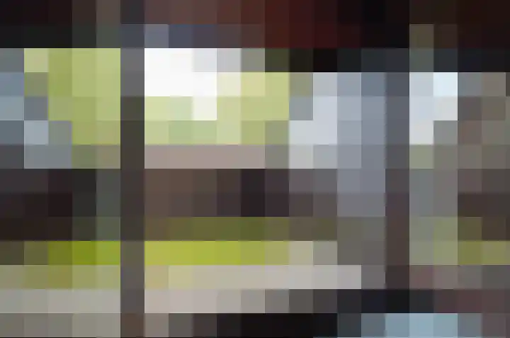 Asserstraat 22 Vries thumbnail 23