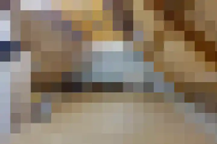 Asserstraat 22 Vries thumbnail 32