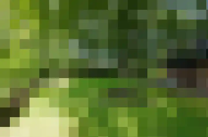Asserstraat 22 Vries thumbnail 36