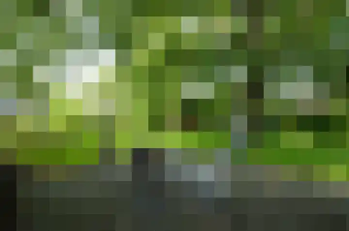 Asserstraat 22 Vries thumbnail 37