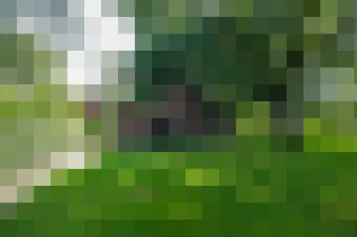 Asserstraat 22 Vries thumbnail 38