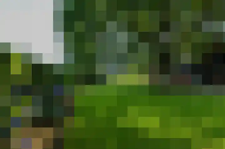 Asserstraat 22 Vries thumbnail 39