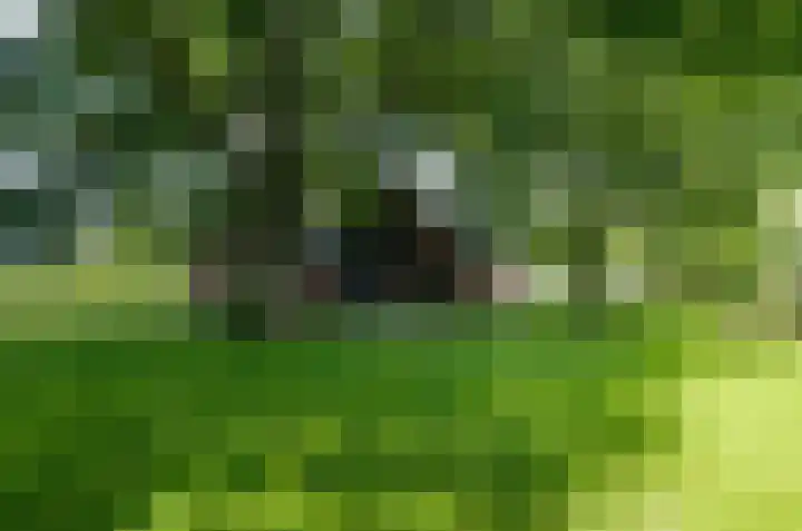 Asserstraat 22 Vries thumbnail 4