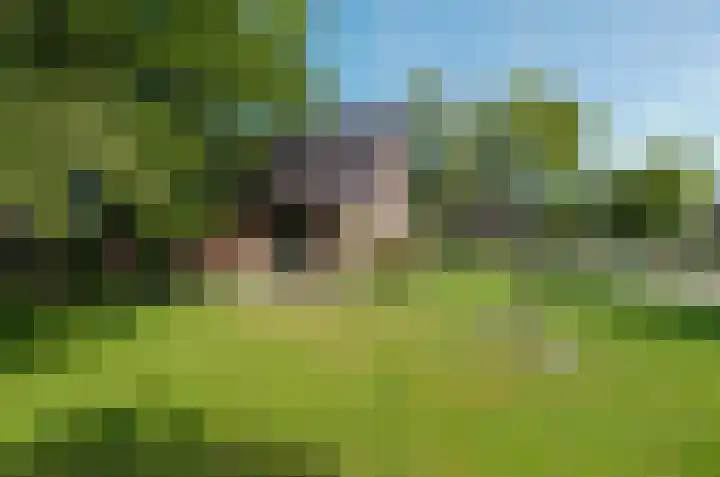Asserstraat 22 Vries thumbnail 41