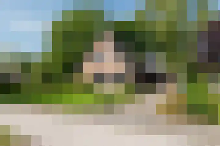 Asserstraat 22 Vries thumbnail 6