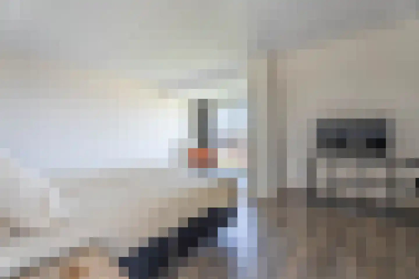 Asserstraat 30 Katwijk thumbnail 39