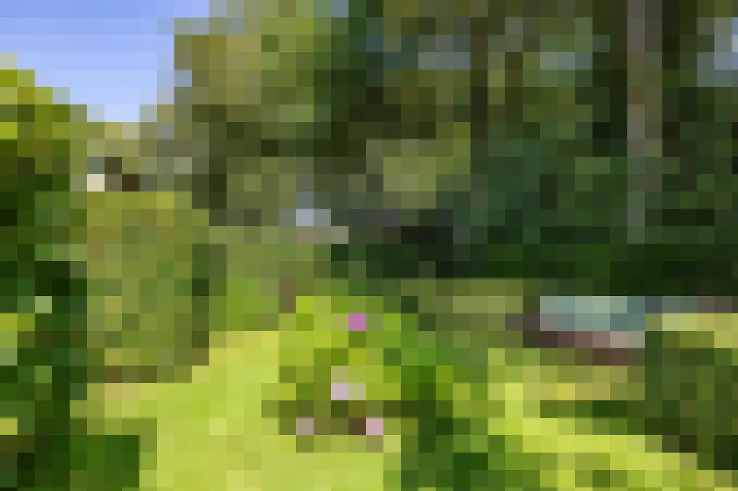 Asserstraat 4 Rolde thumbnail 12