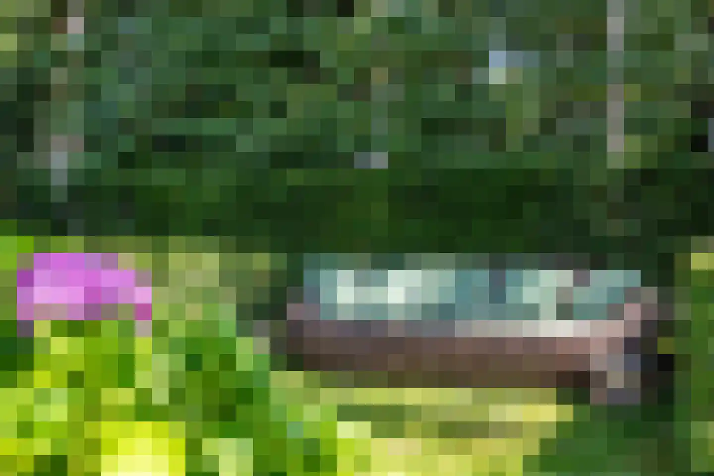 Asserstraat 4 Rolde thumbnail 13
