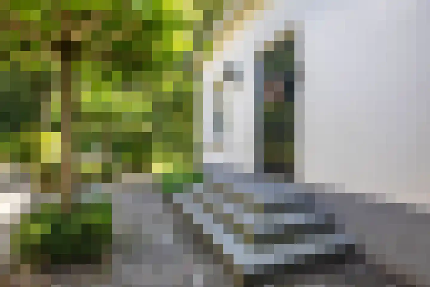 Asserstraat 4 Rolde thumbnail 17