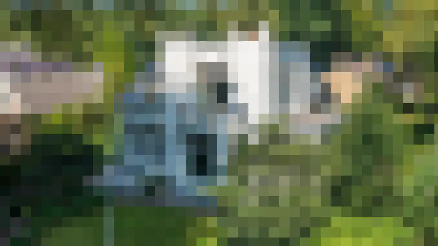 Asserstraat 4 Rolde thumbnail 21