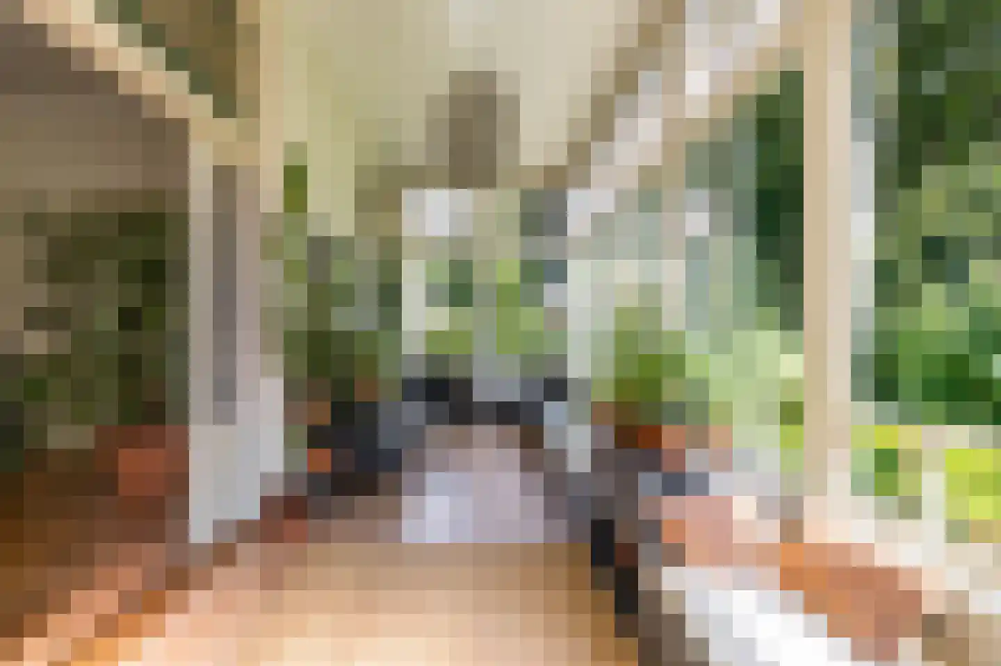 Asserstraat 4 Rolde thumbnail 32