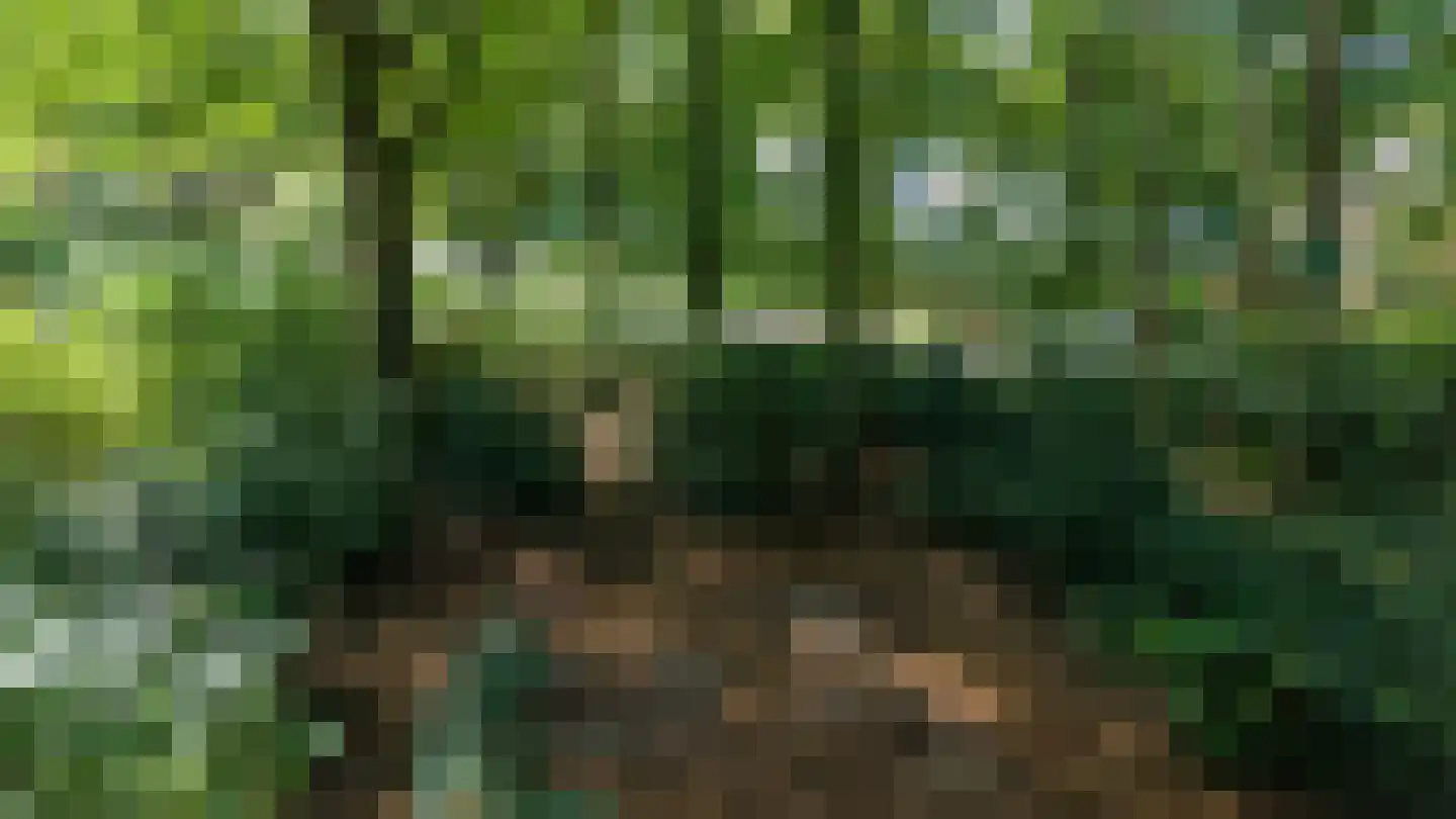 Asserstraat 4 Rolde thumbnail 6