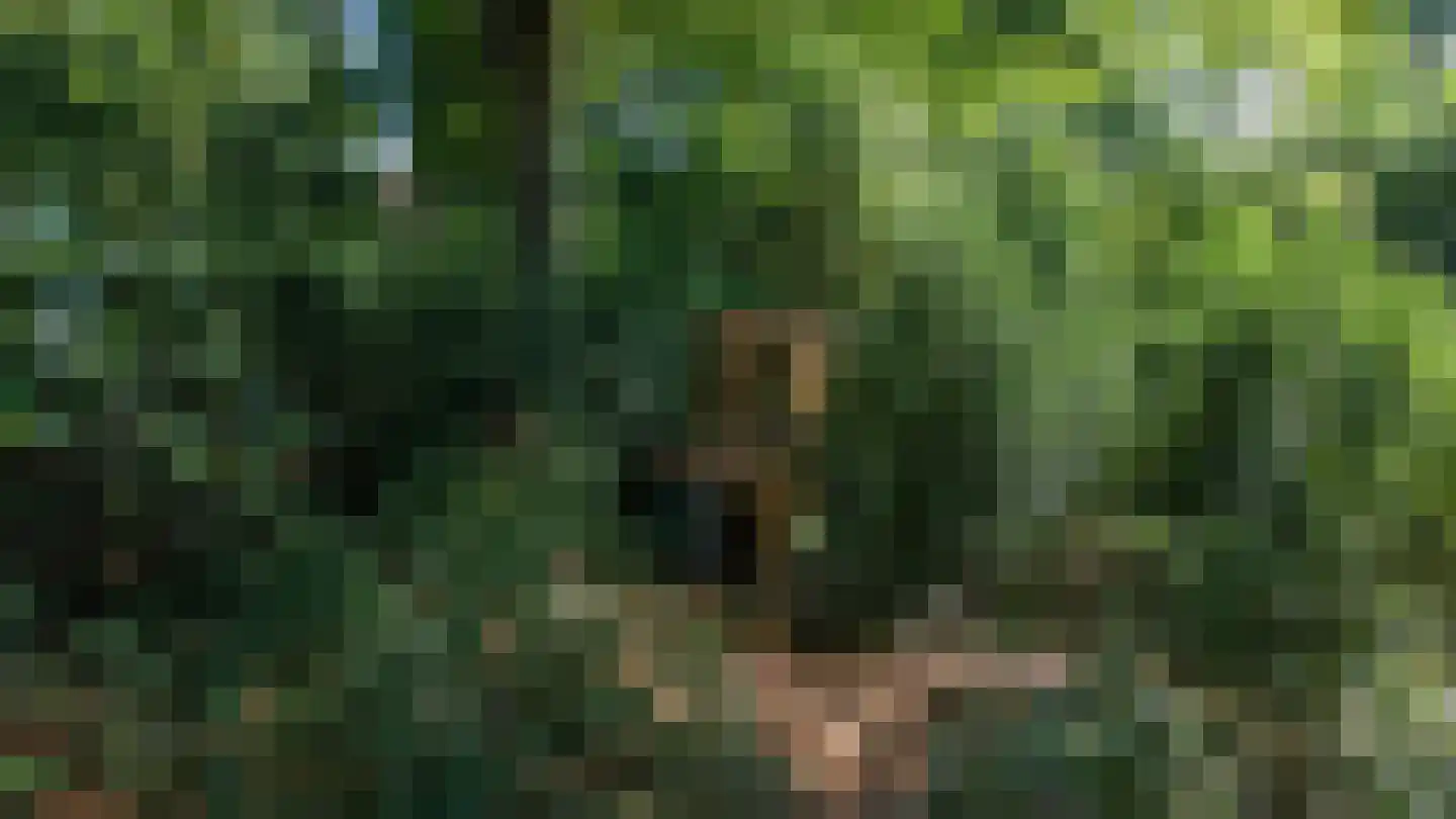 Asserstraat 4 Rolde thumbnail 7