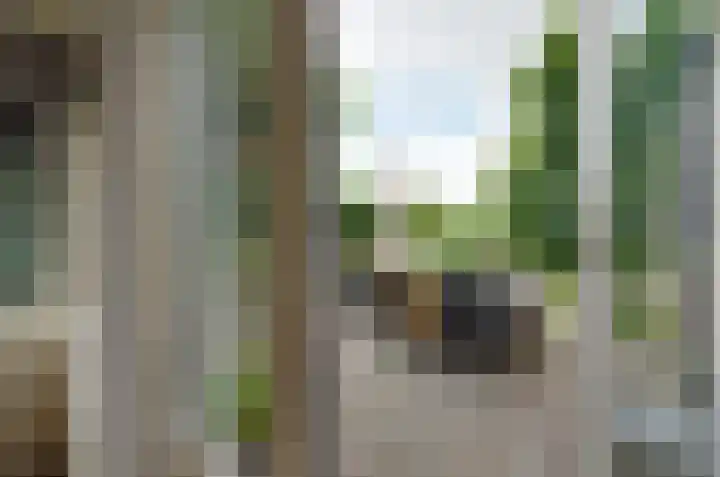 Asserstraat 43 Beilen thumbnail 12