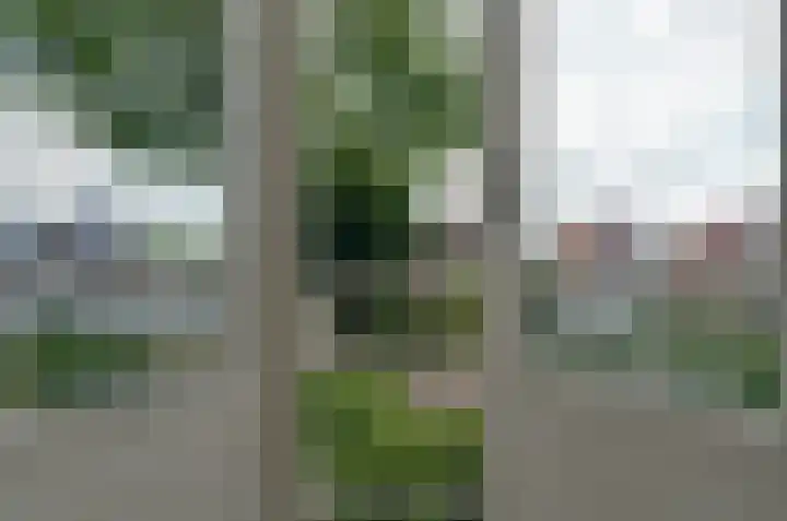 Asserstraat 43 Beilen thumbnail 27