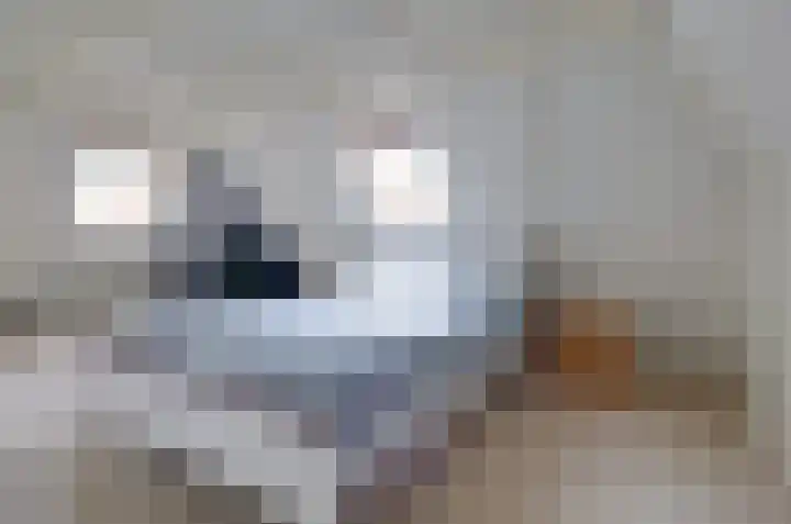 Asserstraat 43 Beilen thumbnail 33